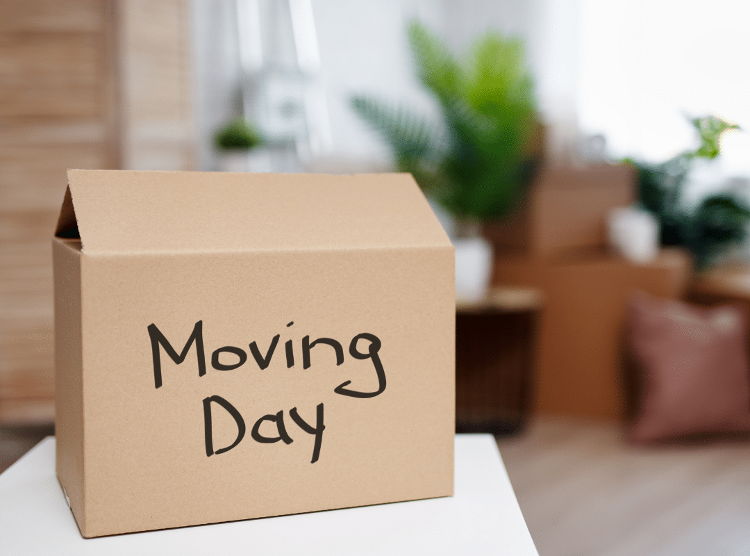 help for seniors to move​