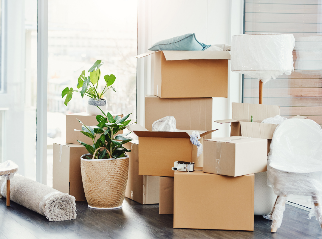 decluttering services for seniors near me