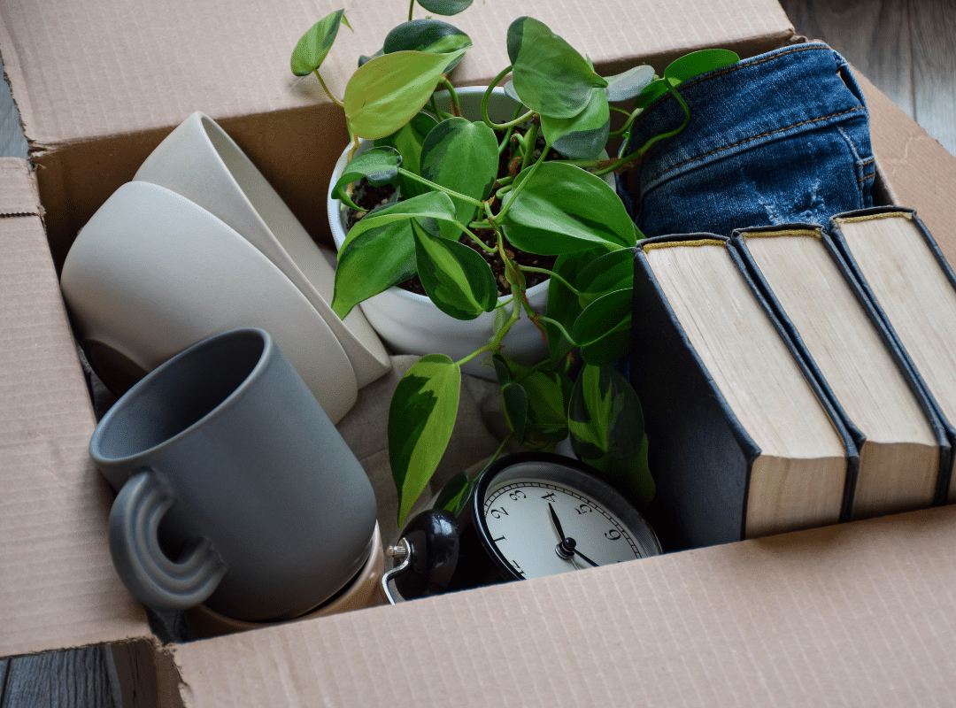downsizing services for seniors